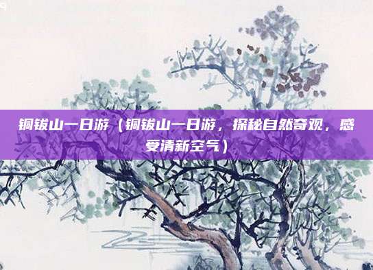 铜钹山一日游(铜钹山一日游,探秘自然奇观,感受清新空气)