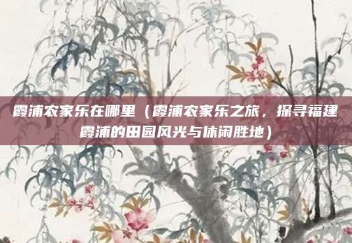 霞浦农家乐在哪里(霞浦农家乐之旅,探寻福建霞浦的田园风光与休闲胜地)
