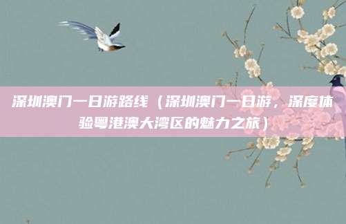 深圳澳门一日游路线(深圳澳门一日游,深度体验粤港澳大湾区的魅力之旅)