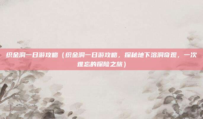 织金洞一日游攻略(织金洞一日游攻略,探秘地下溶洞奇观,一次难忘的探险之旅)