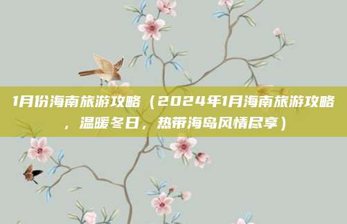 1月份海南旅游攻略(2024年1月海南旅游攻略,温暖冬日,热带海岛风情尽享)
