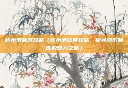 钦州港旅游攻略（钦州港旅游攻略，探寻海滨明珠的魅力之旅）