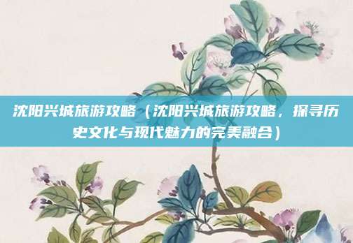 沈阳兴城旅游攻略(沈阳兴城旅游攻略,探寻历史文化与现代魅力的完美融合)
