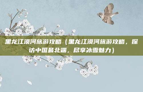 黑龙江漠河旅游攻略（黑龙江漠河旅游攻略，探访中国最北端，尽享冰雪魅力）