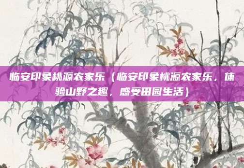 临安印象桃源农家乐(临安印象桃源农家乐,体验山野之趣,感受田园生活)