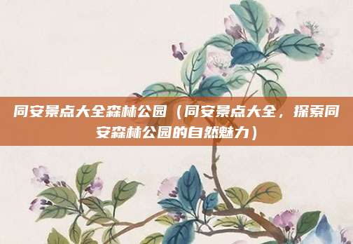 同安景点大全森林公园（同安景点大全，探索同安森林公园的自然魅力）
