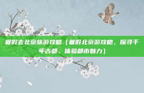 暑假去北京旅游攻略(暑假北京游攻略,探寻千年古都,体验都市魅力)