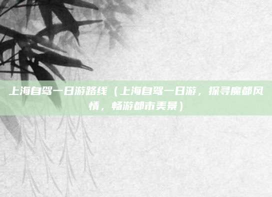 上海自驾一日游路线(上海自驾一日游,探寻魔都风情,畅游都市美景)