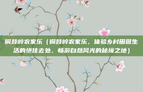 铜鼓岭农家乐（铜鼓岭农家乐，体验乡村田园生活的绝佳去处，畅游自然风光的秘境之地）