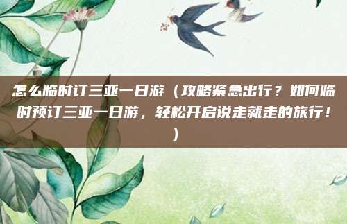 怎么临时订三亚一日游（攻略紧急出行？如何临时预订三亚一日游，轻松开启说走就走的旅行！）
