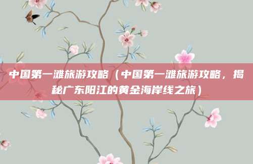 中国第一滩旅游攻略（中国第一滩旅游攻略，揭秘广东阳江的黄金海岸线之旅）