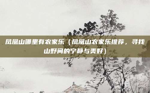 凤凰山哪里有农家乐（凤凰山农家乐推荐，寻找山野间的宁静与美好）