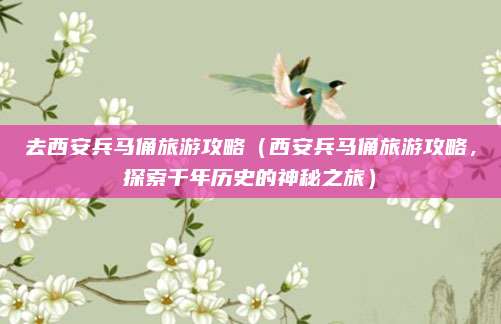 去西安兵马俑旅游攻略(西安兵马俑旅游攻略,探索千年历史的神秘之旅)