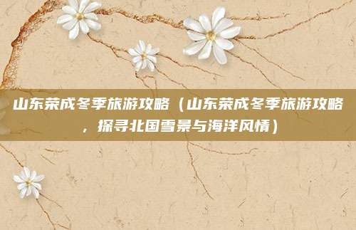 山东荣成冬季旅游攻略(山东荣成冬季旅游攻略,探寻北国雪景与海洋风情)