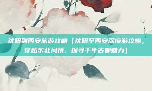 沈阳到西安旅游攻略(沈阳至西安深度游攻略,穿越东北风情,探寻千年古都魅力)