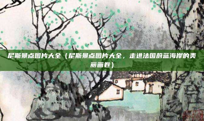 尼斯景点图片大全（尼斯景点图片大全，走进法国蔚蓝海岸的美丽画卷）