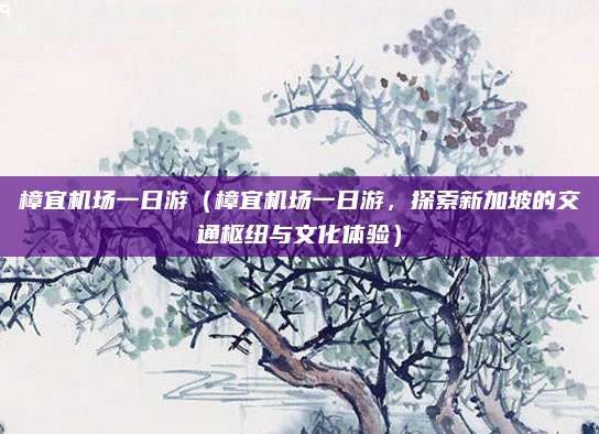 樟宜机场一日游（樟宜机场一日游，探索新加坡的交通枢纽与文化体验）