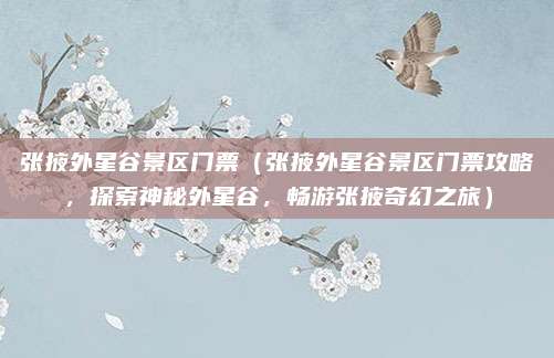 张掖外星谷景区门票(张掖外星谷景区门票攻略,探索神秘外星谷,畅游张掖奇幻之旅)