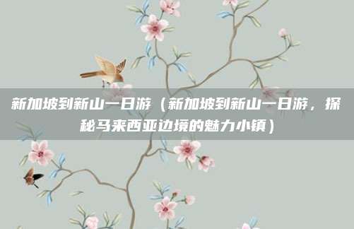 新加坡到新山一日游（新加坡到新山一日游，探秘马来西亚边境的魅力小镇）