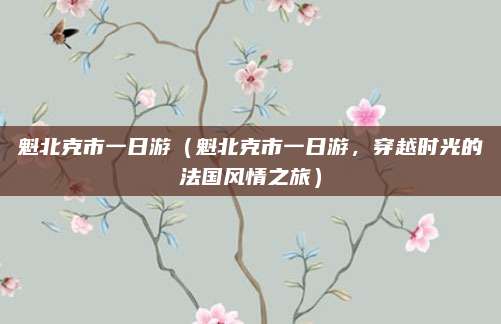 魁北克市一日游(魁北克市一日游,穿越时光的法国风情之旅)
