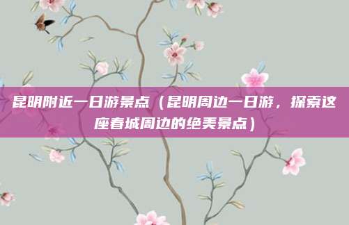 昆明附近一日游景点(昆明周边一日游,探索这座春城周边的绝美景点)