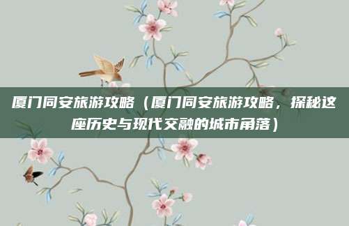 厦门同安旅游攻略（厦门同安旅游攻略，探秘这座历史与现代交融的城市角落）