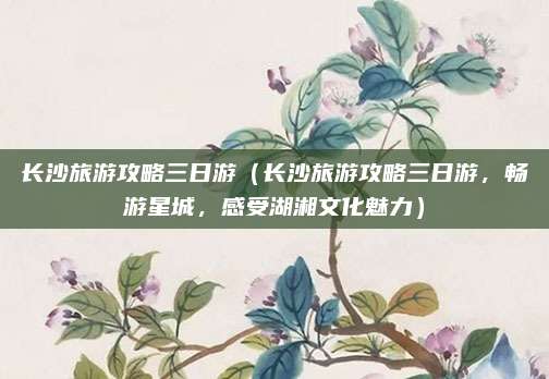 长沙旅游攻略三日游（长沙旅游攻略三日游，畅游星城，感受湖湘文化魅力）