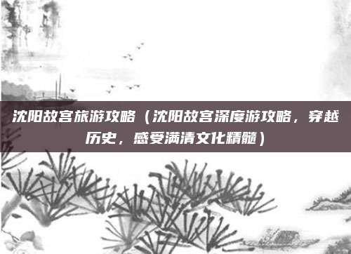 沈阳故宫旅游攻略(沈阳故宫深度游攻略,穿越历史,感受满清文化精髓)