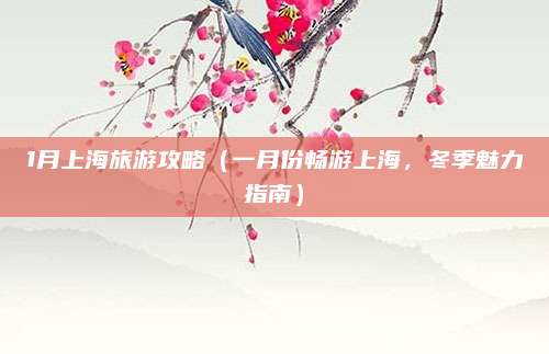 1月上海旅游攻略(一月份畅游上海,冬季魅力指南)