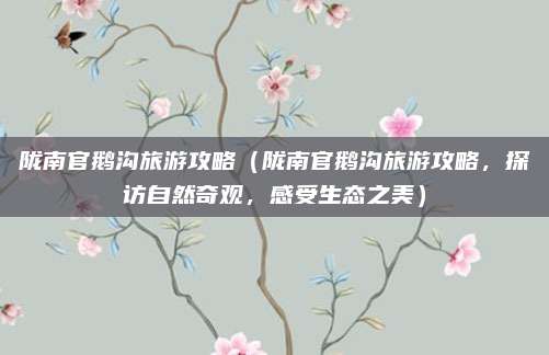 陇南官鹅沟旅游攻略(陇南官鹅沟旅游攻略,探访自然奇观,感受生态之美)
