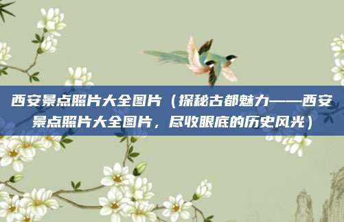 西安景点照片大全图片(探秘古都魅力——西安景点照片大全图片,尽收眼底的历史风光)