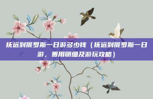 抚远到俄罗斯一日游多少钱（抚远到俄罗斯一日游，费用明细及游玩攻略）