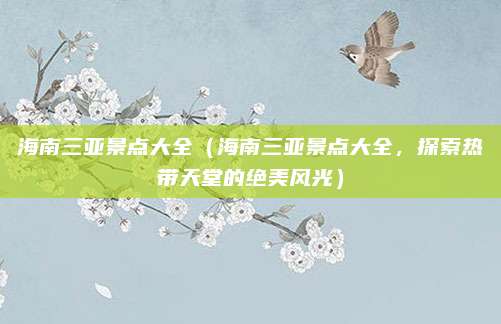 海南三亚景点大全（海南三亚景点大全，探索热带天堂的绝美风光）