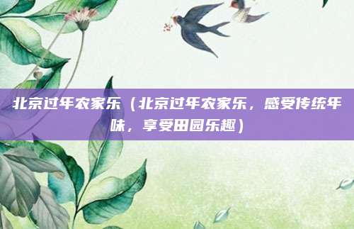 北京过年农家乐（北京过年农家乐，感受传统年味，享受田园乐趣）