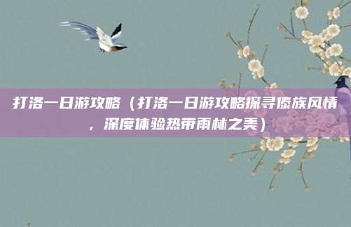 打洛一日游攻略（打洛一日游攻略探寻傣族风情，深度体验热带雨林之美）