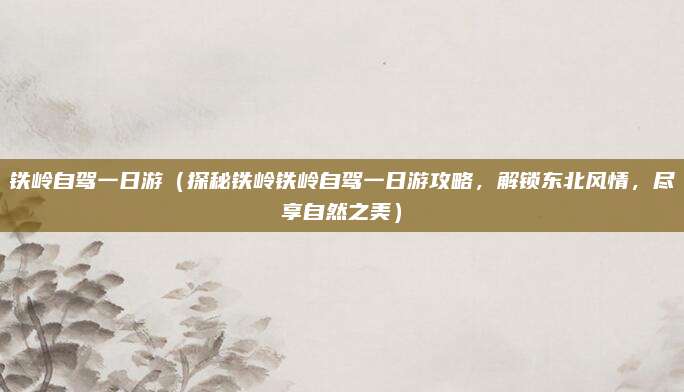 铁岭自驾一日游（探秘铁岭铁岭自驾一日游攻略，解锁东北风情，尽享自然之美）