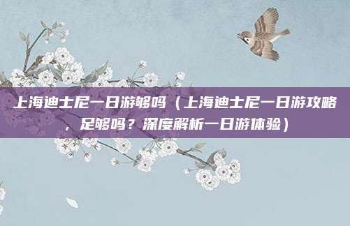 上海迪士尼一日游够吗（上海迪士尼一日游攻略，足够吗？深度解析一日游体验）