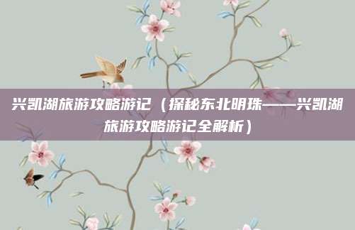 兴凯湖旅游攻略游记(探秘东北明珠——兴凯湖旅游攻略游记全解析)