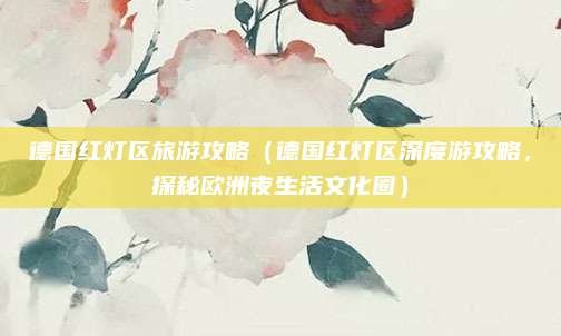 德国红灯区旅游攻略(德国红灯区深度游攻略,探秘欧洲夜生活文化圈)