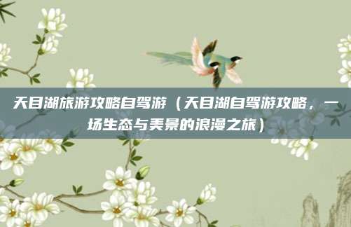 天目湖旅游攻略自驾游(天目湖自驾游攻略,一场生态与美景的浪漫之旅)