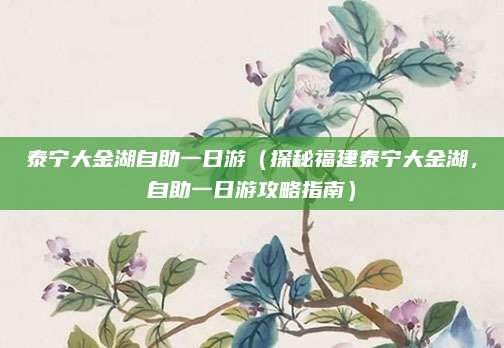 泰宁大金湖自助一日游(探秘福建泰宁大金湖,自助一日游攻略指南)