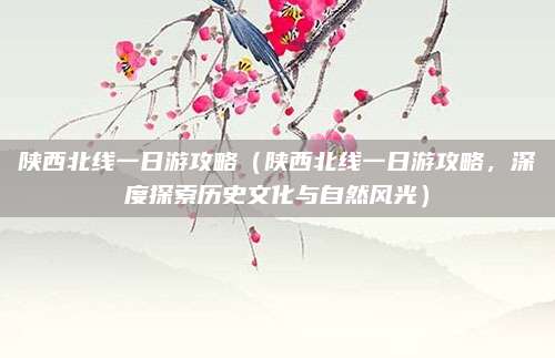 陕西北线一日游攻略(陕西北线一日游攻略,深度探索历史文化与自然风光)