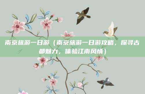 南京旅游一日游(南京旅游一日游攻略,探寻古都魅力,体验江南风情)