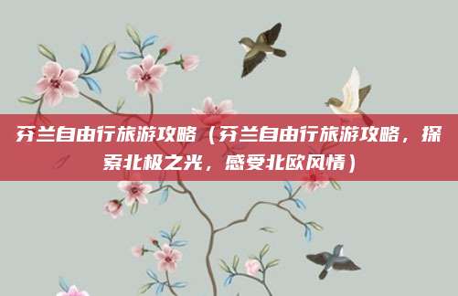 芬兰自由行旅游攻略(芬兰自由行旅游攻略,探索北极之光,感受北欧风情)