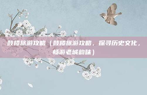 鼓楼旅游攻略(鼓楼旅游攻略,探寻历史文化,畅游老城韵味)