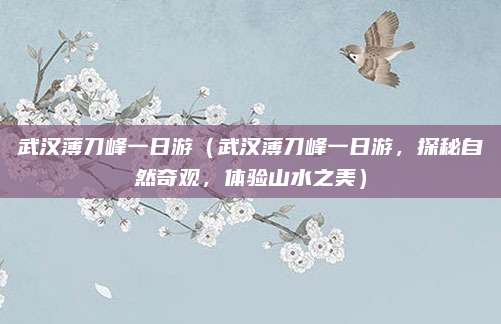武汉薄刀峰一日游(武汉薄刀峰一日游,探秘自然奇观,体验山水之美)