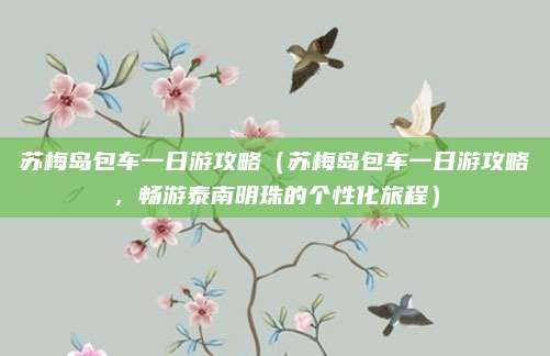 苏梅岛包车一日游攻略(苏梅岛包车一日游攻略,畅游泰南明珠的个性化旅程)