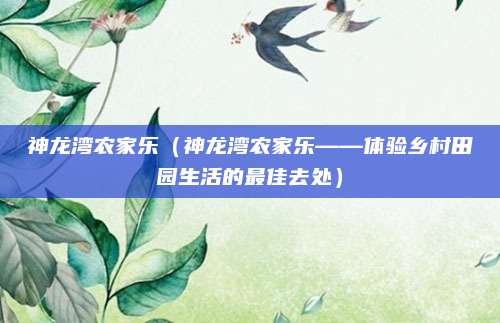 神龙湾农家乐（神龙湾农家乐——体验乡村田园生活的最佳去处）