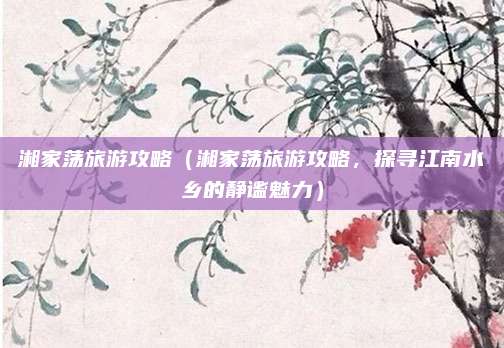 湘家荡旅游攻略(湘家荡旅游攻略,探寻江南水乡的静谧魅力)
