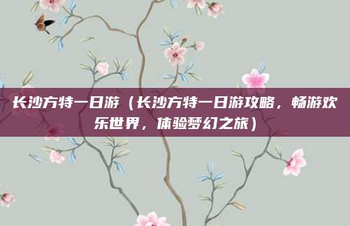 长沙方特一日游(长沙方特一日游攻略,畅游欢乐世界,体验梦幻之旅)